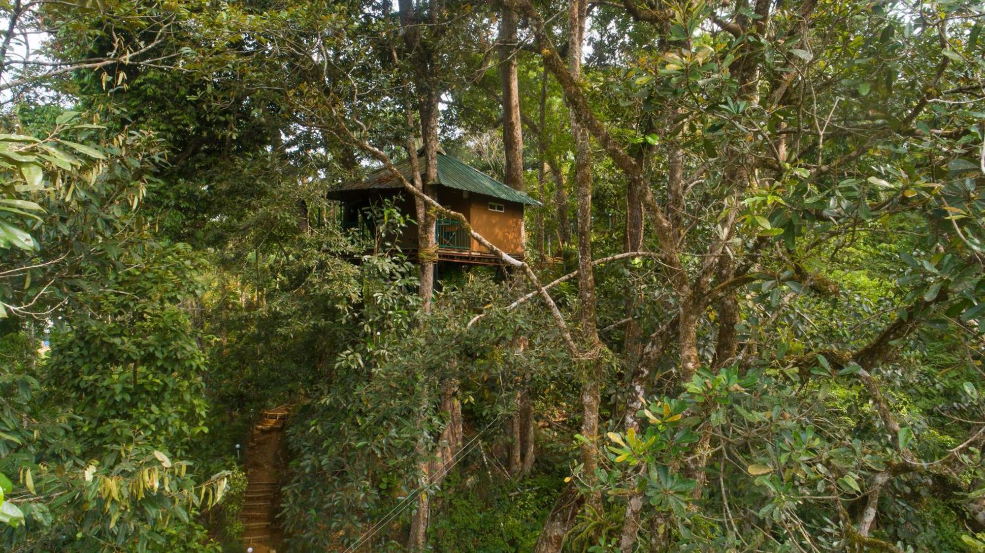 Ela Ecoland Nature Retreat Munnar Ngoại thất bức ảnh