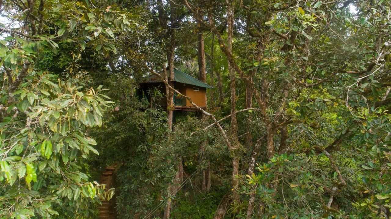 Ela Ecoland Nature Retreat Munnar Ngoại thất bức ảnh