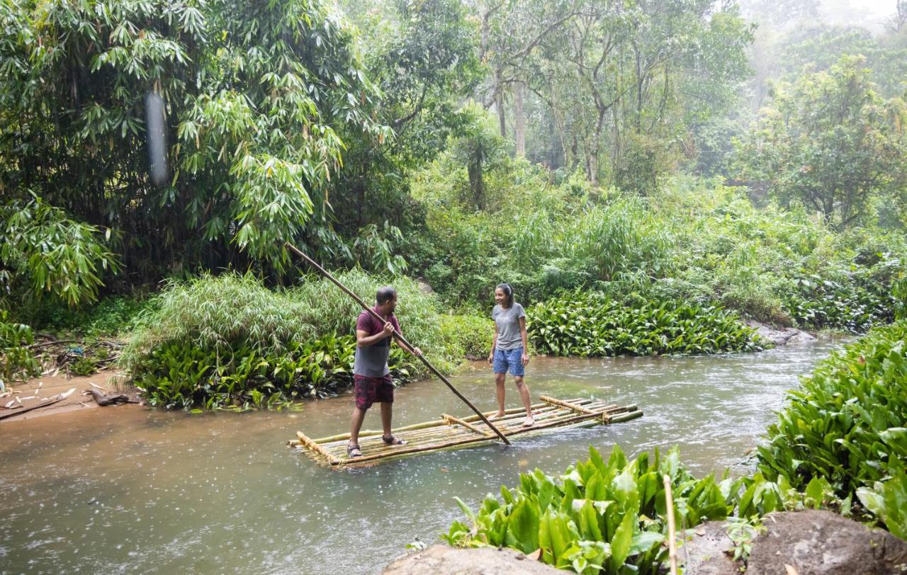 Ela Ecoland Nature Retreat Munnar Ngoại thất bức ảnh