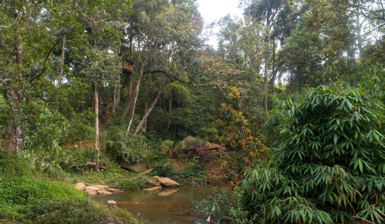 Ela Ecoland Nature Retreat Munnar Ngoại thất bức ảnh