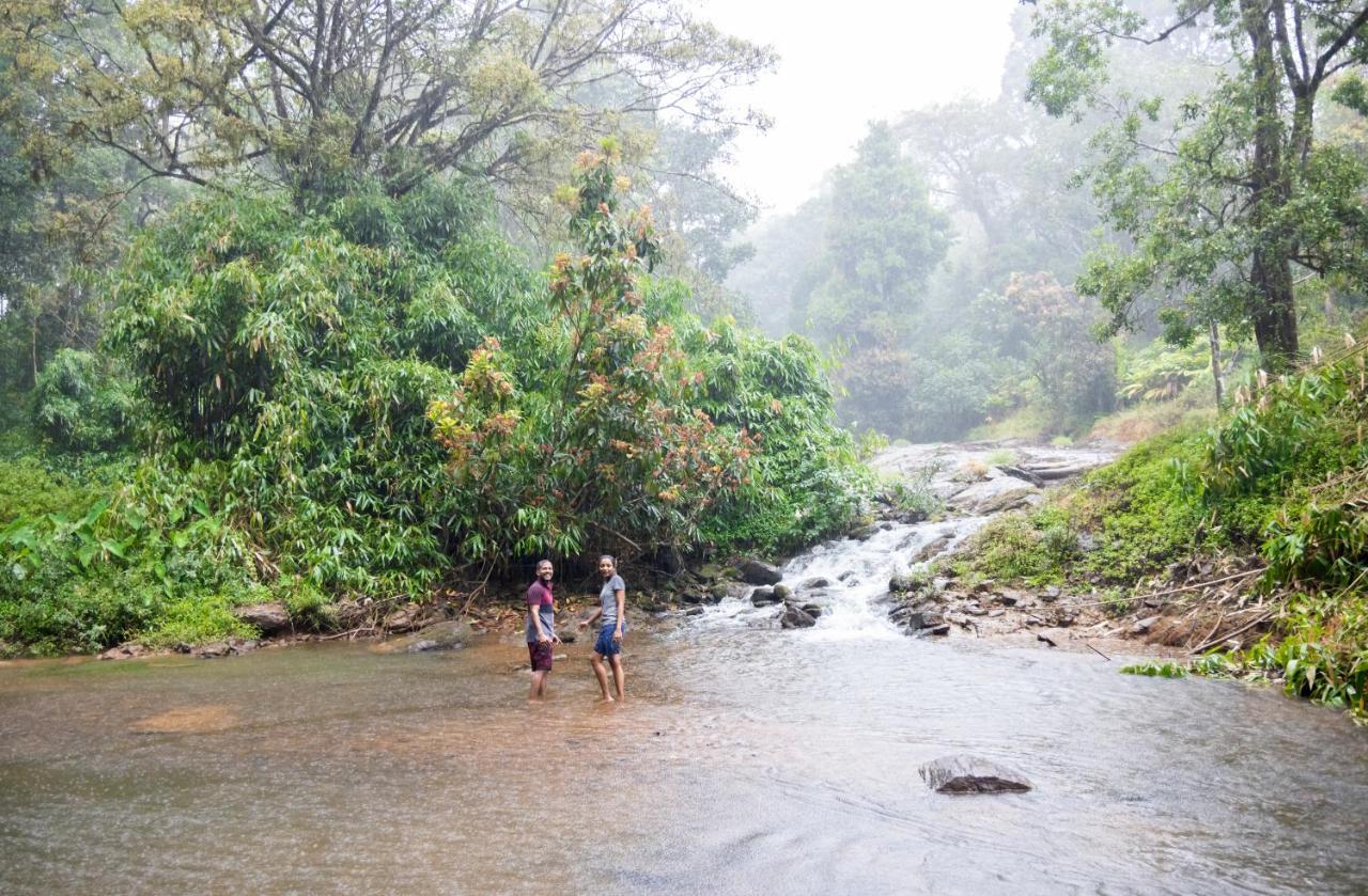 Ela Ecoland Nature Retreat Munnar Ngoại thất bức ảnh