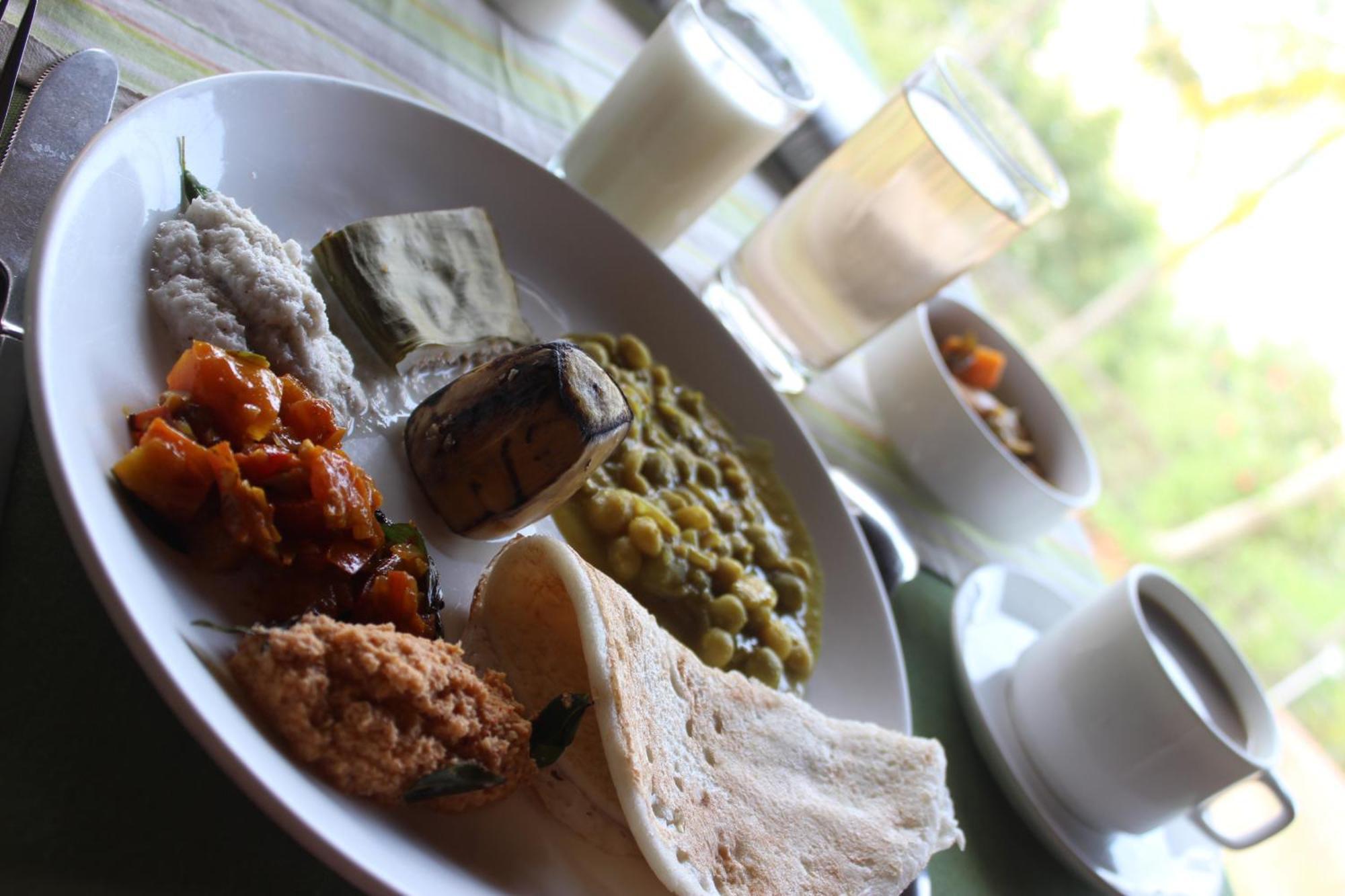 Ela Ecoland Nature Retreat Munnar Ngoại thất bức ảnh