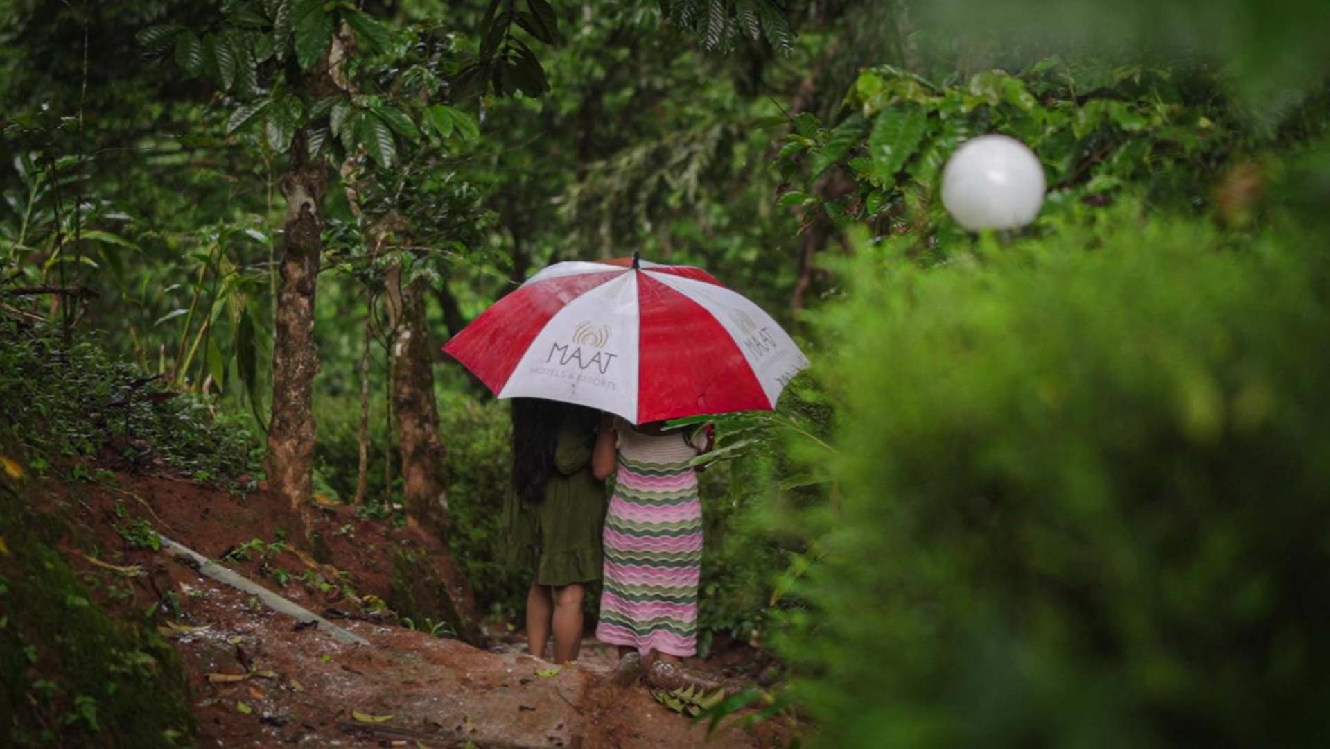 Ela Ecoland Nature Retreat Munnar Ngoại thất bức ảnh