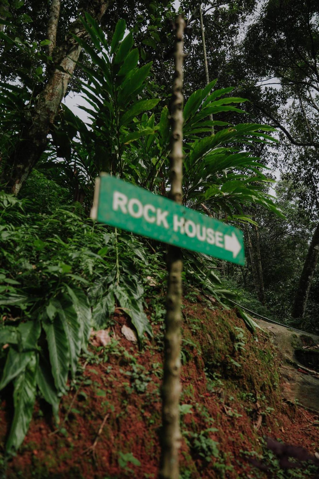 Ela Ecoland Nature Retreat Munnar Ngoại thất bức ảnh