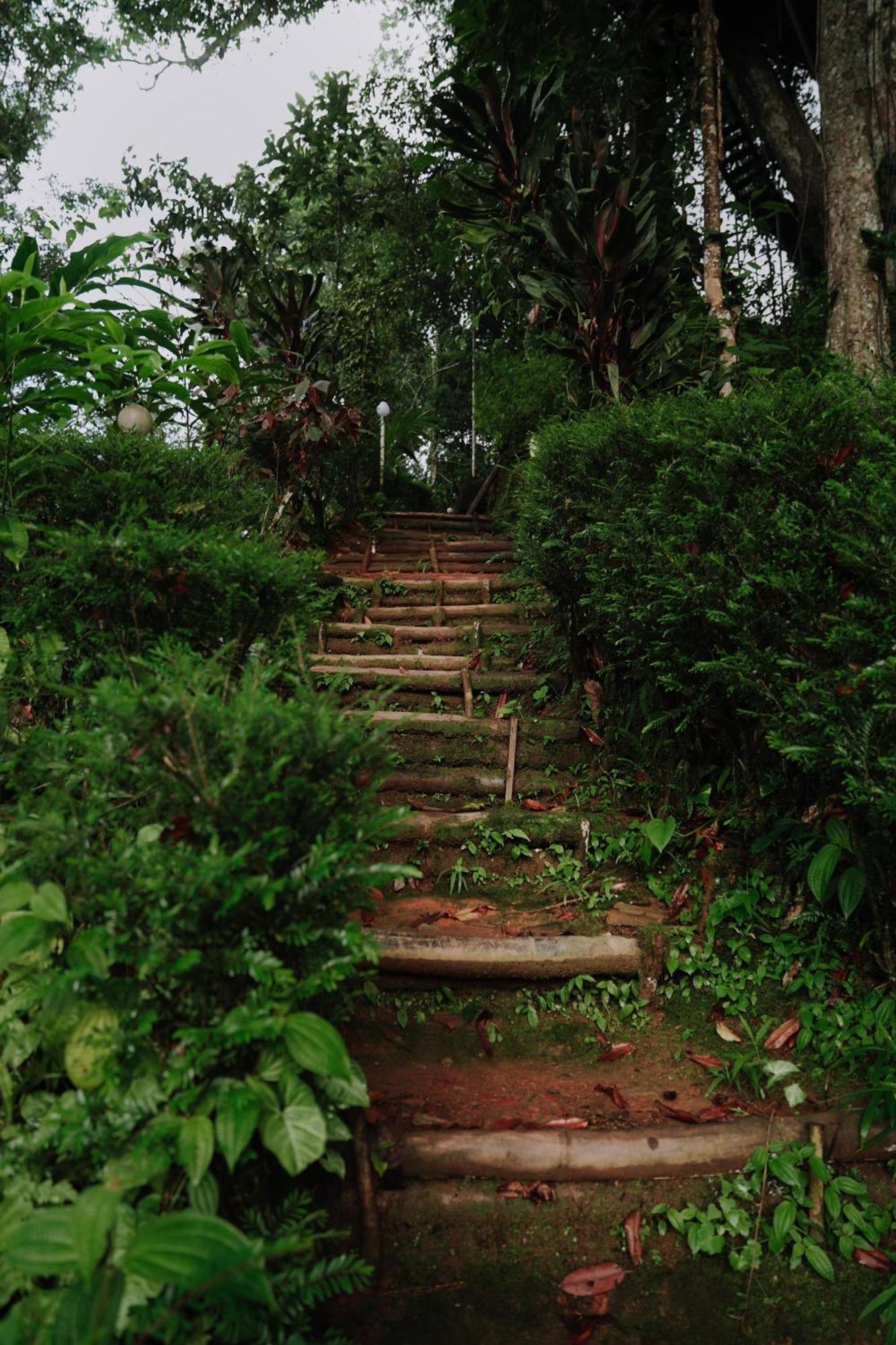Ela Ecoland Nature Retreat Munnar Ngoại thất bức ảnh