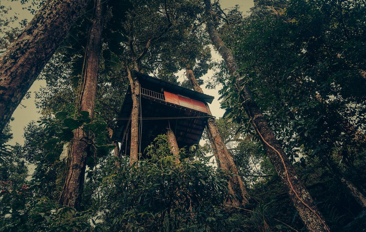 Ela Ecoland Nature Retreat Munnar Ngoại thất bức ảnh