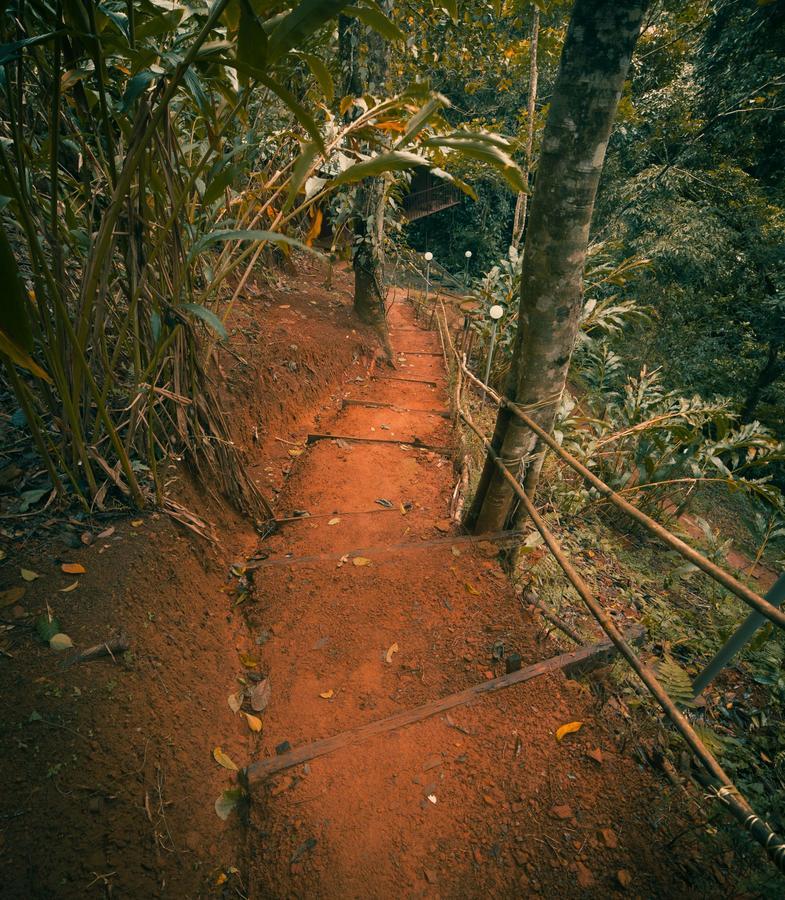 Ela Ecoland Nature Retreat Munnar Ngoại thất bức ảnh